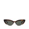 Women Billini Sunglasses | The Ambrosio Havana Green