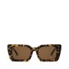 Women Billini Sunglasses | The Candice Cloud Tort Choc