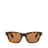 Women Billini Sunglasses | The Cindy Amber Tort Caramel