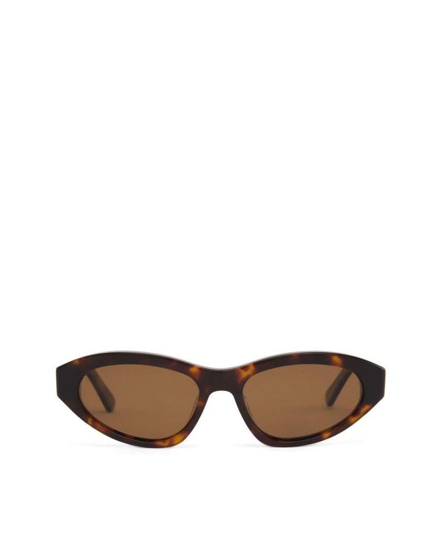 Women Billini Sunglasses | The Hailey Havana Brown